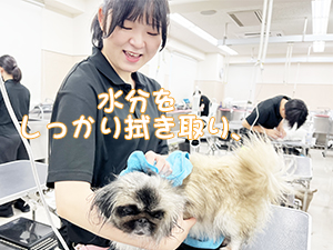 １年生のトリミング実習♪